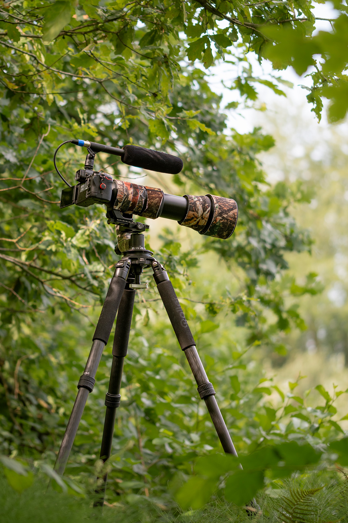 Kamera-Setup im Gebüsch am Bachlauf
