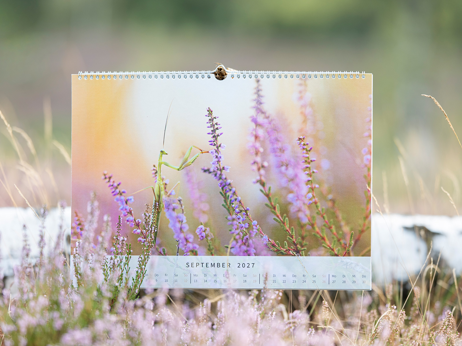 Wildlife Kalender 2027 draußen in der Heide
